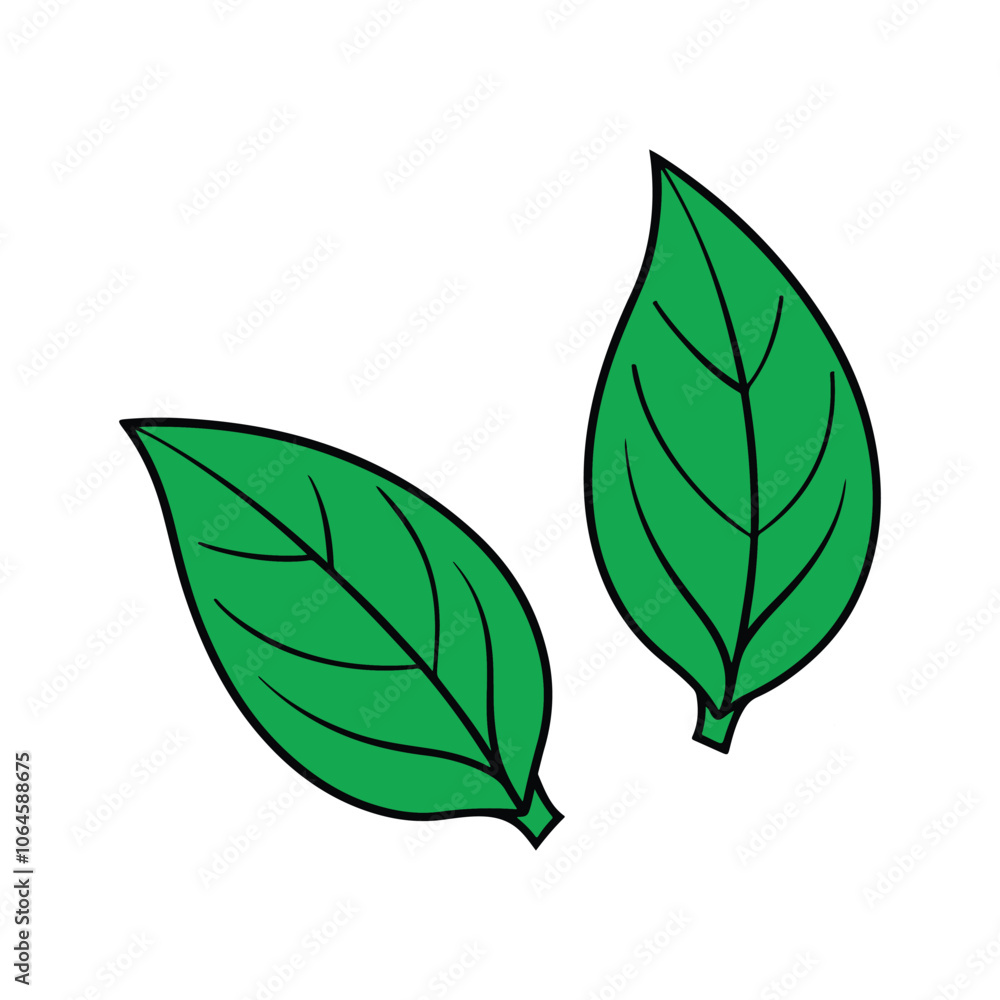 A set of green leaves and leaves free download A set of green leaves and leaves free download