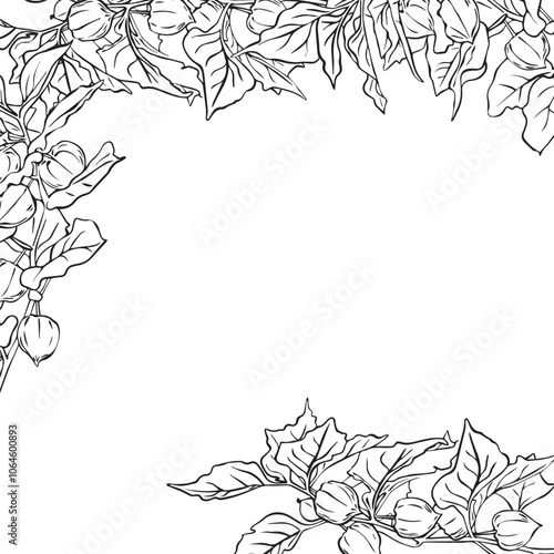 Physalis flowers frame, floral arrangement with leaves as a frame for design. Physalis branch. Vector