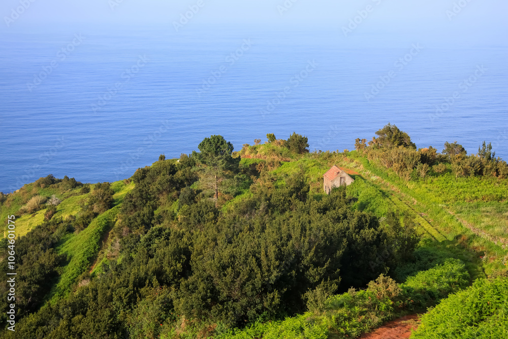 Old hut at lush green ocean shore in Madeira island countryside. Old hut at lush green ocean shore in Madeira island countryside.