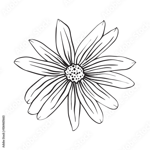 Hand drawn sketch of Jerusalem artichoke flower or Helianthus tuberosus plant isolated on white background.