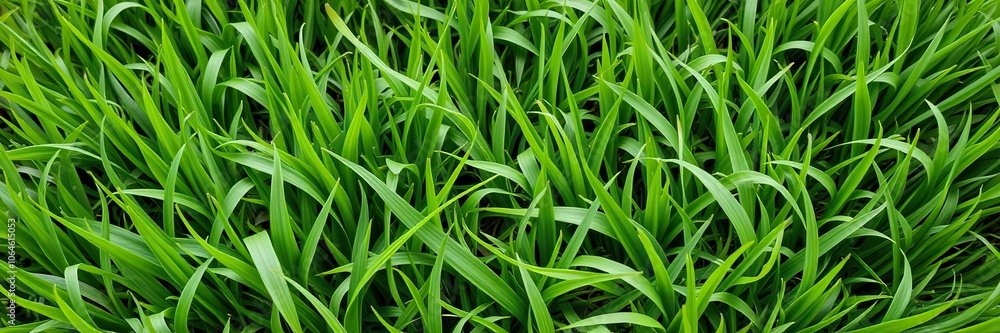 Lush green grass with subtle wave pattern, peaceful atmosphere, sports field Lush green grass with subtle wave pattern, peaceful atmosphere, sports field