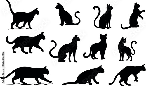 solated Cat Silhouette Vector Set