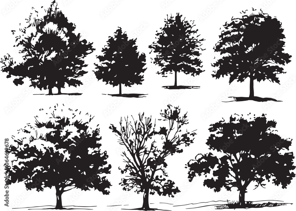 Obraz premium Set Trees. Hand drawn vector illustration