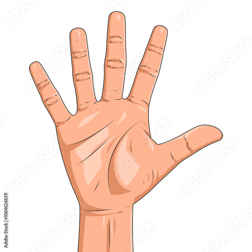 Vector illustration of hand raised up gesture isolated on white background. Realistic five fingers up