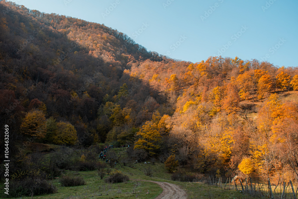 autumn in the mountains autumn in the mountains