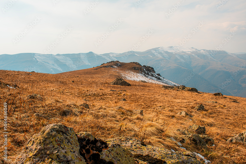 Obraz premium landscape in park state