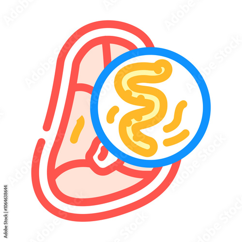 helminth meat parasite color icon vector. helminth meat parasite sign. isolated symbol illustration