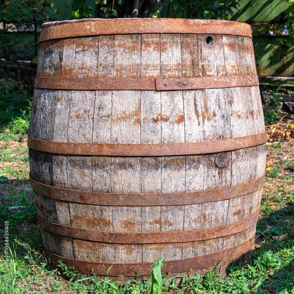 Old weathered oak wine barrel with rusty metal rims stands on grass in garden Old weathered oak wine barrel with rusty metal rims stands on grass in garden