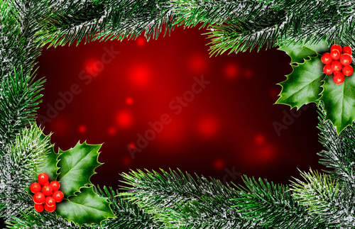Roter Weihnachtshintergrund mit Adventzweig und Stechpalme