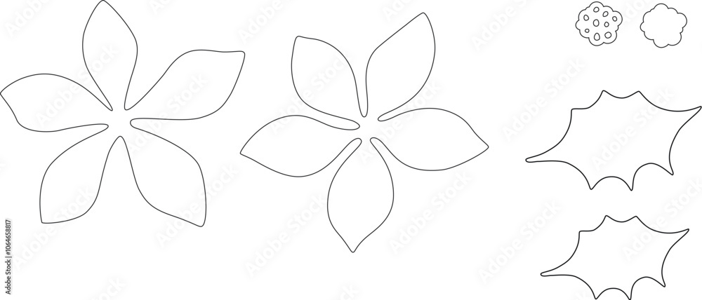 Obraz premium poinsettia template