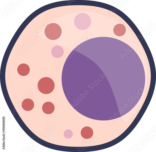 Illustration of a blood immune cell with nucleus and cytoplasmic granules.