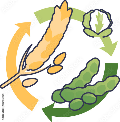 Illustration of crop rotation with wheat, cabbage, and legumes, symbolizing sustainable farming.