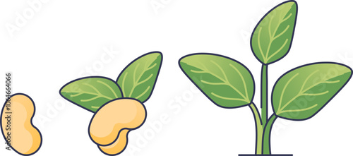 Illustration of seed germination stages: seed, sprout, and young plant.