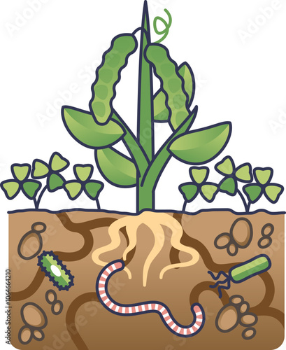 Illustration of plant roots, earthworm, and microbes depicting soil health.
