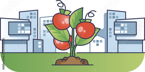 Tomato plant thriving amidst urban buildings, symbolizing urban farming.