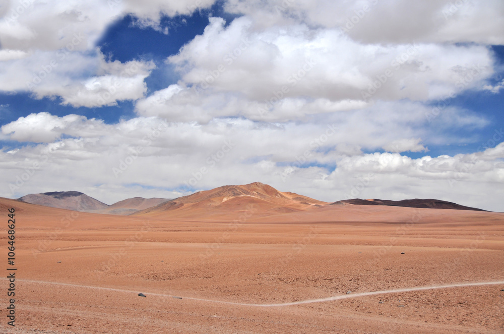 Wilderness in the Bolivian Altiplano desert Wilderness in the Bolivian Altiplano desert