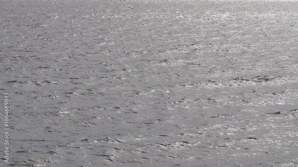 Still Ocean Surface on Calm Day. Calm Sea Surface with Subtle Waves. Smooth Sea Surface with Light Ripples Still Ocean Surface on Calm Day. Calm Sea Surface with Subtle Waves. Smooth Sea Surface with Light Ripples