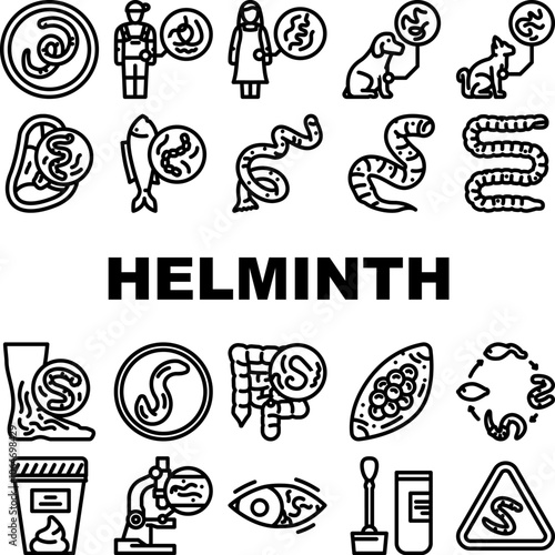 helminth worm parasite nematode icons set vector. tapeworm roundworm, flatworm hookworm, whipworm fluke, cestode, trematode helminth worm parasite nematode black contour illustrations