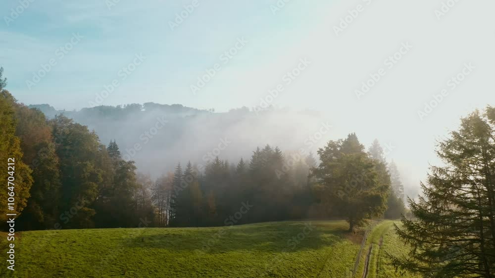 Drone flies over a misty autumn forest with evergreen trees and vibrant yellow-orange foliage, creating a serene, atmospheric scene Drone flies over a misty autumn forest with evergreen trees and vibrant yellow-orange foliage, creating a serene, atmospheric scene
