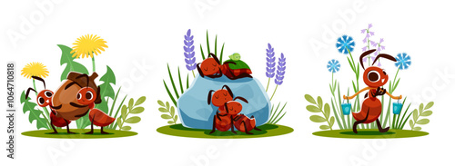 Cartoon ant characters, cute insect colony vector personages set. Funny brown ant characters sleeping on anthill, happy insect family carrying food and water to anthill, wild flowers and green grass