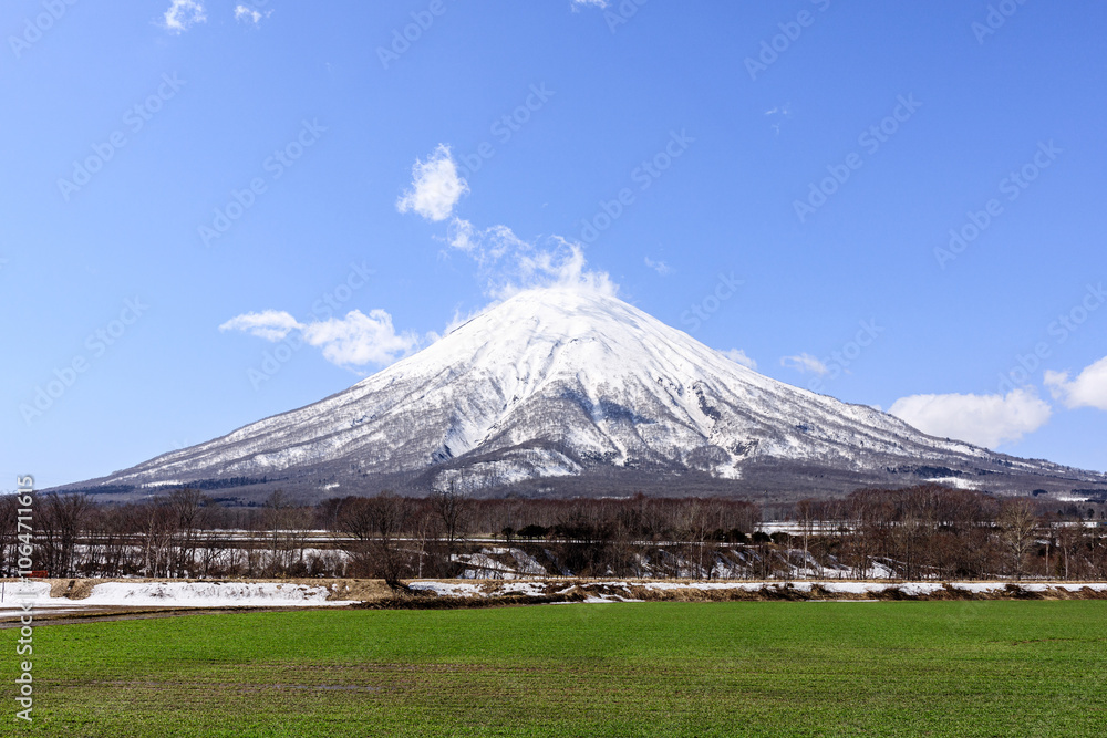 Fototapeta premium 北海道京極町、雪解け前の初春の羊蹄山【4月】