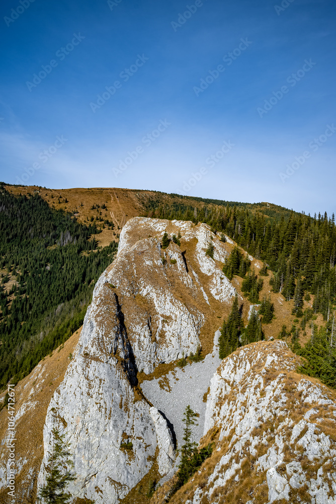 White stones emerging from the mountain side in apuseni natural park, romania