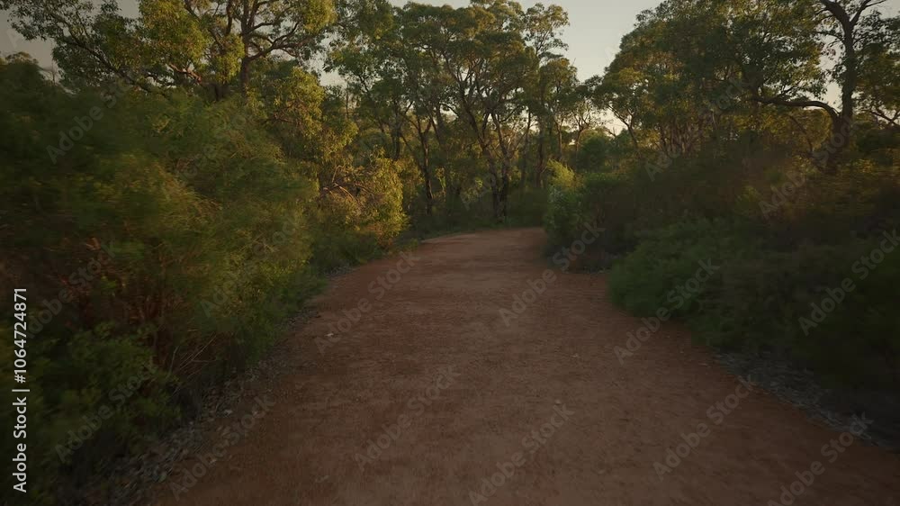 POV gimbal shot of a bushwalking trail in Australia, soft light cast over the trees, pushing forward and turning left to go down stairs towards the bridge over the river. POV gimbal shot of a bushwalking trail in Australia, soft light cast over the trees, pushing forward and turning left to go down stairs towards the bridge over the river.