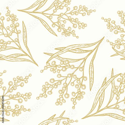 Hand drawn wattle tree branch background. Australian native flower