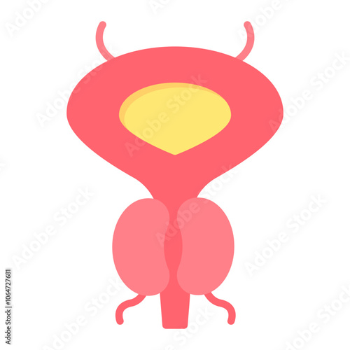 Prostate icon vector image. Can be used for Human Anatomy.