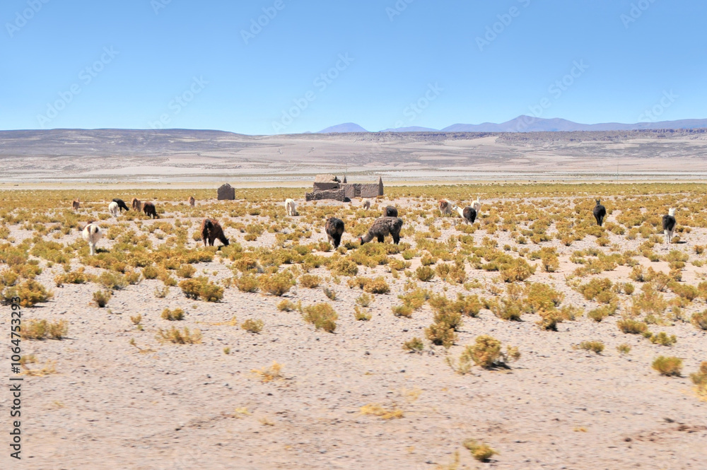 Poor Villages in southern Bolivia Poor Villages in southern Bolivia