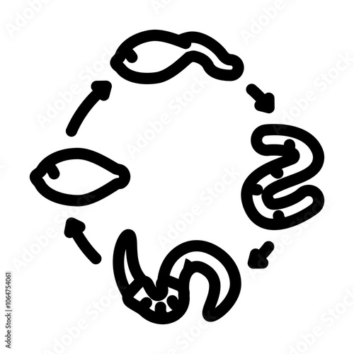 worm lifecycle parasite line icon vector. worm lifecycle parasite sign. isolated contour symbol black illustration