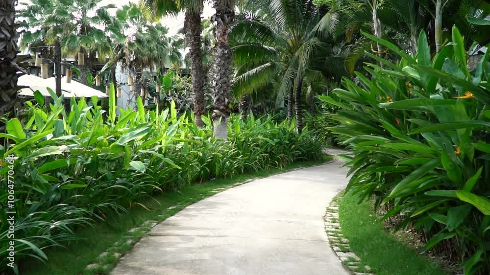 Elegant Pathway in Lush Tropical Garden with Palm Trees and Blossoms Elegant Pathway in Lush Tropical Garden with Palm Trees and Blossoms