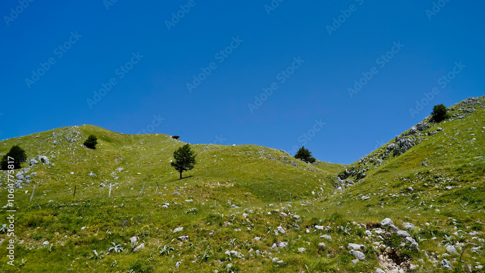 Fototapeta premium Campitello Matese,la strada panoramica SP106,Campobasso,Molise,Italia