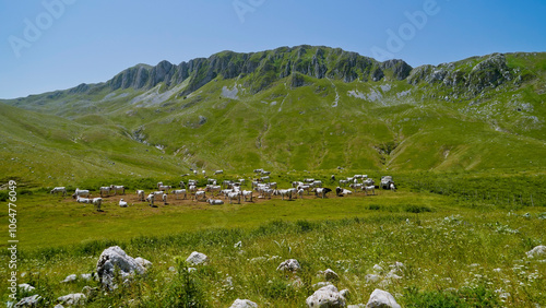 Campitello Matese,la strada panoramica SP106,Campobasso,Molise,Italia photo