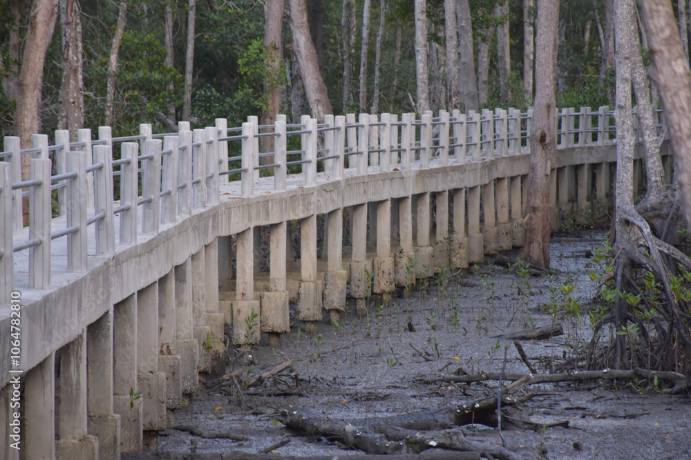 forest viewing bridge