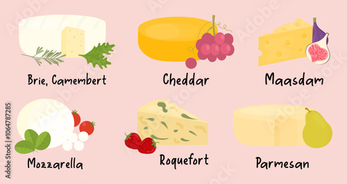 Collection of different types of cheese. Cheddar, Brie, Mozzarella, Parmesan, Camembert and Maasdam. Set of tasty farm cheese with fruits. Vector illustration.