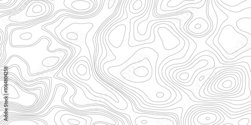 Contour lines background. Topographic map contour background. The concept of a conditional geography scheme and the terrain path.