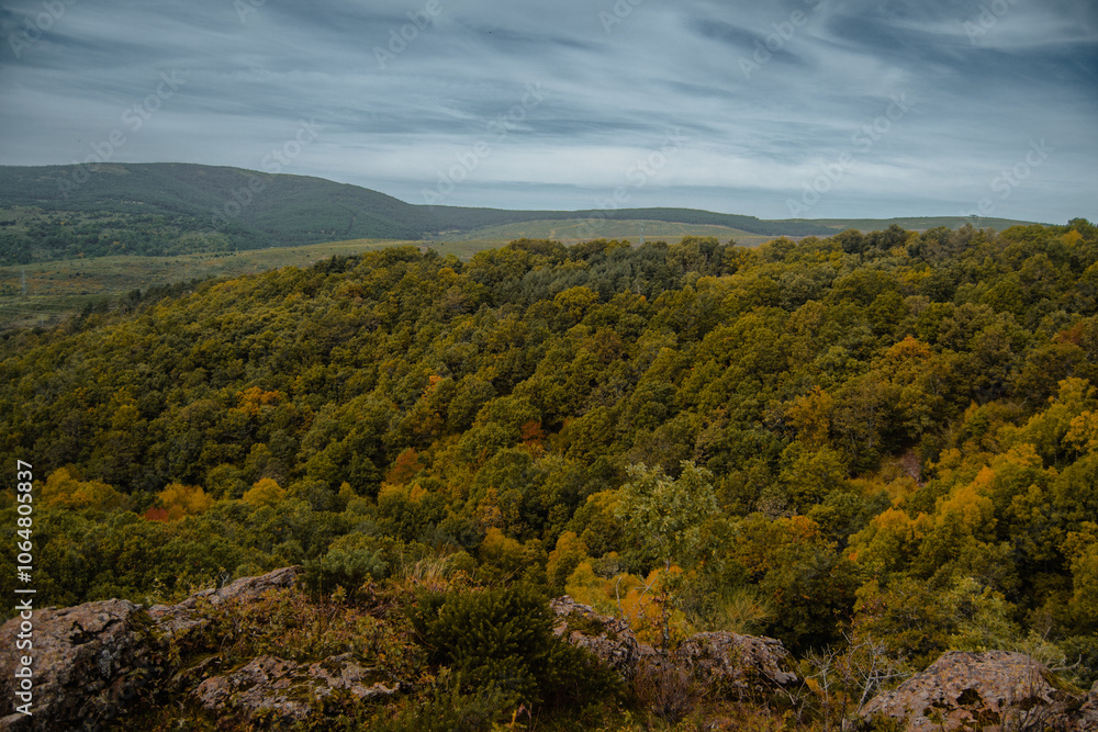 Obraz premium Lakes, yellow, green and brown autumn leaves