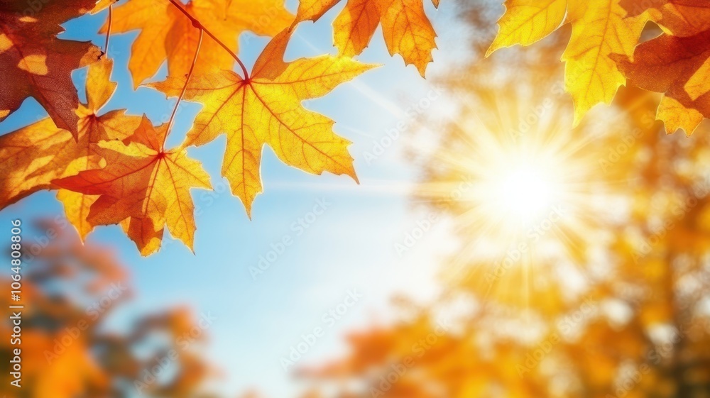 Autumn background with maple leaves and bokeh,Fall blurred background, Yellow and red maple leaves are flying and falling down. Autumnal landscape.water drop on leaf,space for text. Autumn background with maple leaves and bokeh,Fall blurred background, Yellow and red maple leaves are flying and falling down. Autumnal landscape.water drop on leaf,space for text.