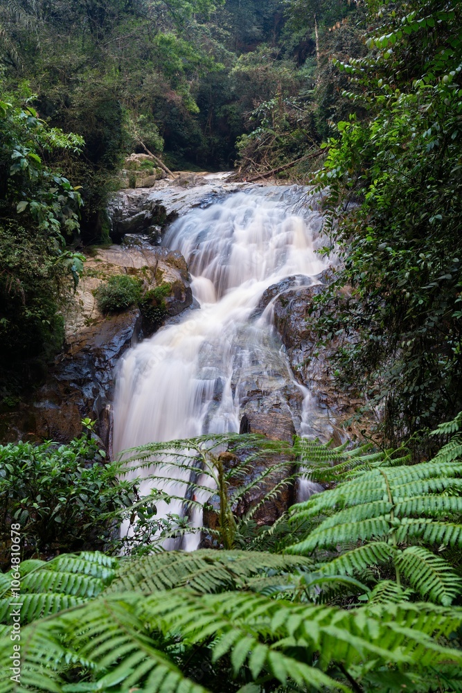 Serene Robinson Falls cascading through lush green foliage in Cameron highland, Malaysia