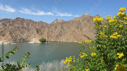 clear lake with magnificent Hajar mountains and green blooming landscape. Al Rafisah Dam, Khorfakkan, Sharjah, United Arab Emirates photo