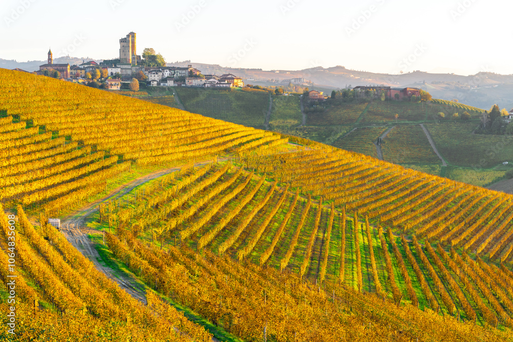 Langhe, Piedmont, Italy. Autumn landscape