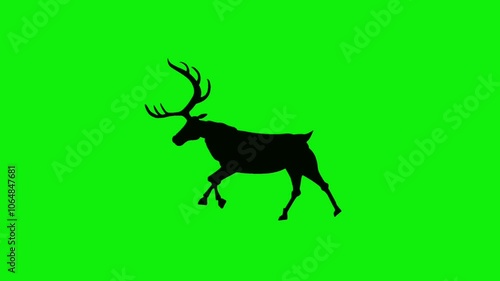 Wallpaper Mural Loopable running reindeer silhouette animation on green background with alpha channel. Concept of animal, cartoon, wildlife, christmas, games, 3d animation, film, chroma key. Torontodigital.ca