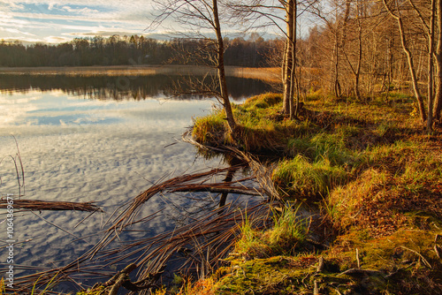 Autumn scene at the lake Lielezers in November on a partly cloudy afternoon in Limbazi in Latvia photo