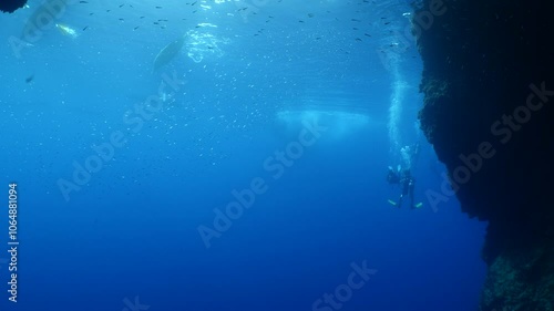 Wallpaper Mural cave diving underwater scuba divers exploring reefs and caves Torontodigital.ca