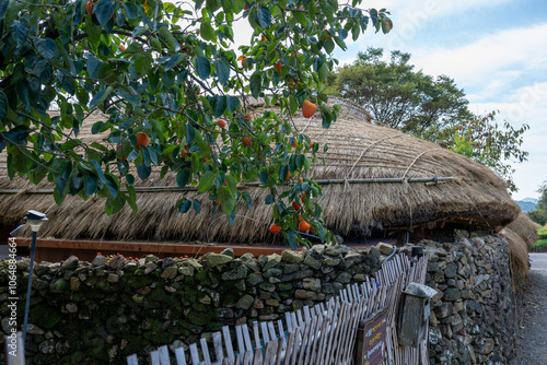 Korean Traditional House Scenery in Autumn