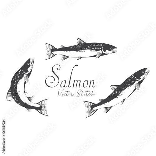 salmon fish icon sketch illustration.