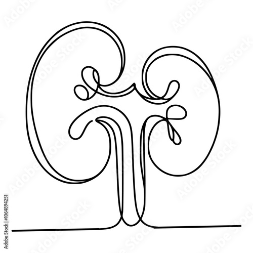 one line drawing kidney internal organ vector illustration template design