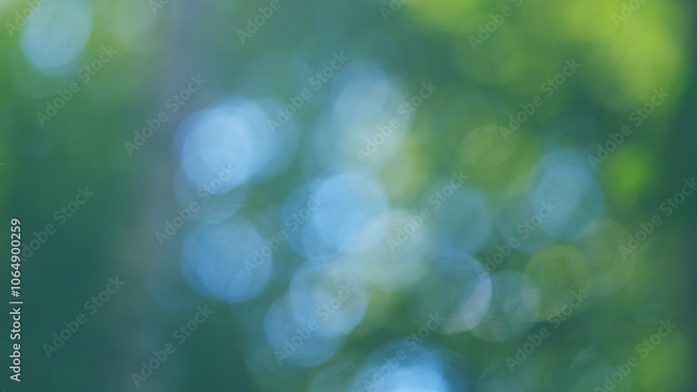 Obraz premium Beautiful Summer Morning In Forest. Moving In Spring Forest. Beautiful Sunny Morning In Green Forest. Green Trees In Forest. Bokeh.