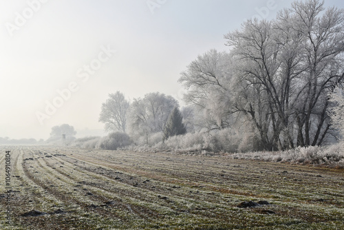 Winterlandschaft, Raureiflandschaft photo